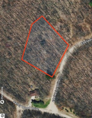 EDELWEISS DR, BELLAIRE, MI 49615 - Image b2482dcd4c29c0184f4397bba2d50f96/3264108296