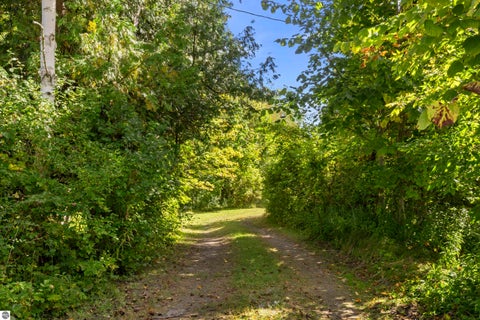 Tiny photo for 4477 Mollineaux Road, Frankfort, MI 49635 (MLS # 1951076)