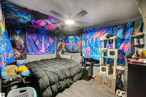 Tiny photo for 11115 E Valley, Mt Pleasant, MI 48858 (MLS # 1942971)