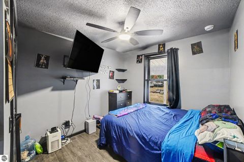 Tiny photo for 11115 E Valley, Mt Pleasant, MI 48858 (MLS # 1942971)