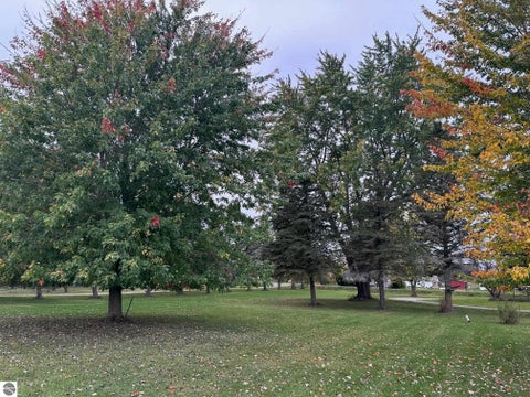 Tiny photo for 11627 S Green RD, Riverdale, MI 48877 (MLS # 1951720)