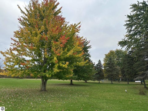 Tiny photo for 11627 S Green RD, Riverdale, MI 48877 (MLS # 1951720)