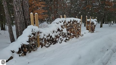 Tiny photo for 3866 Wintergreen Lane, Grayling, MI 49738 (MLS # 1942217)