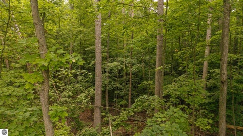 Tiny photo for 302 N Boyd Street, Fife Lake, MI 49633 (MLS # 1949280)
