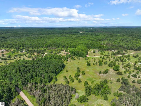 Tiny photo for 4622 Vista Valley Trail, Mesick, MI 49668 (MLS # 1947605)