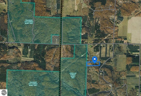 Tiny photo for 4622 Vista Valley Trail, Mesick, MI 49668 (MLS # 1947605)