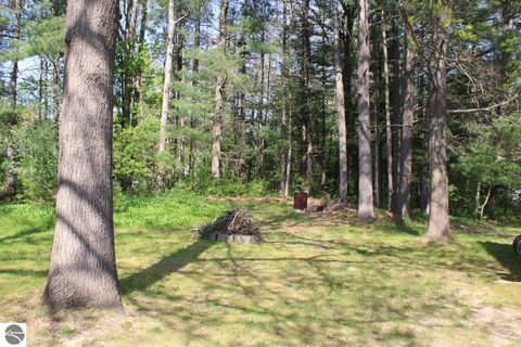 Tiny photo for 817 E Dresden Street, Kalkaska, MI 49646 (MLS # 1945886)