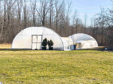 Tiny photo for 5612 E Remus Road, Mt Pleasant, MI 48858 (MLS # 1942484)