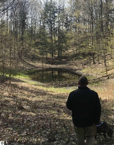 Tiny photo for 16355 Hunt Club Road, Lake Ann, MI 49650 (MLS # 1942129)