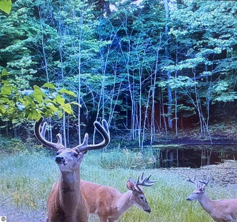 Tiny photo for 16355 Hunt Club Road, Lake Ann, MI 49650 (MLS # 1942129)