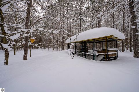 Tiny photo for 16355 Hunt Club Road, Lake Ann, MI 49650 (MLS # 1942129)