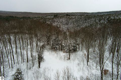 Tiny photo for 16355 Hunt Club Road, Lake Ann, MI 49650 (MLS # 1942129)