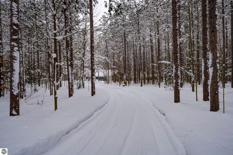 Tiny photo for 16355 Hunt Club Road, Lake Ann, MI 49650 (MLS # 1942129)