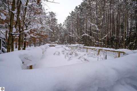 Tiny photo for 16355 Hunt Club Road, Lake Ann, MI 49650 (MLS # 1942129)