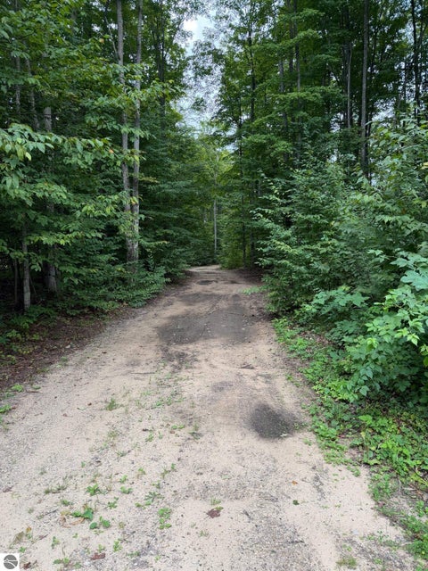 Tiny photo for 6168 Needles Lane, Kalkaska, MI 49646 (MLS # 1949908)