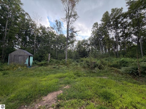 Tiny photo for 6168 Needles Lane, Kalkaska, MI 49646 (MLS # 1949908)