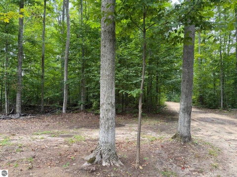Tiny photo for 6168 Needles Lane, Kalkaska, MI 49646 (MLS # 1949908)