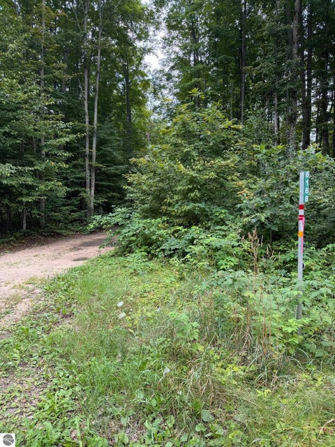 Tiny photo for 6168 Needles Lane, Kalkaska, MI 49646 (MLS # 1949908)