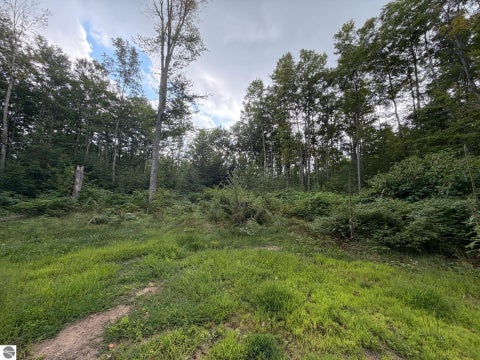 Tiny photo for 6168 Needles Lane, Kalkaska, MI 49646 (MLS # 1949908)