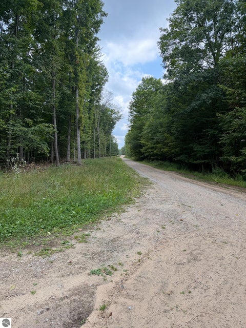 Tiny photo for 6168 Needles Lane, Kalkaska, MI 49646 (MLS # 1949908)