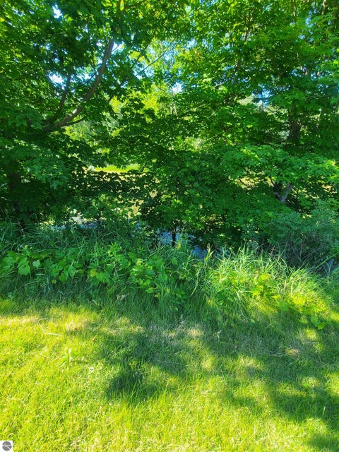 Tiny photo for 314 W Michigan Avenue, Oscoda, MI 48750 (MLS # 1946987)