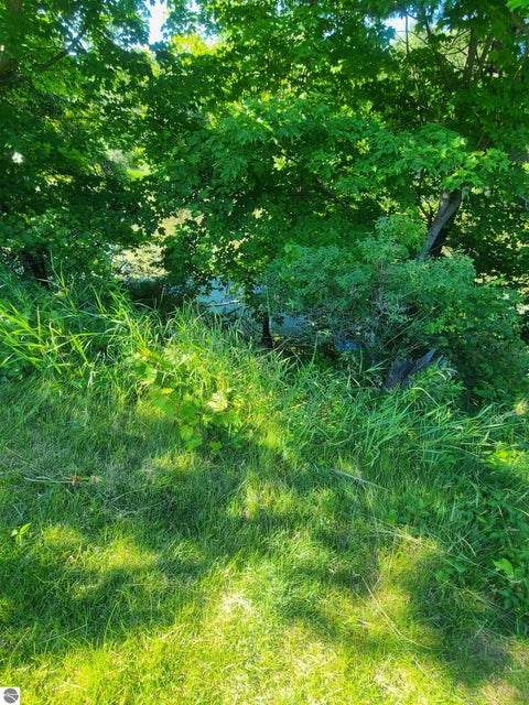 Tiny photo for 314 W Michigan Avenue, Oscoda, MI 48750 (MLS # 1946987)