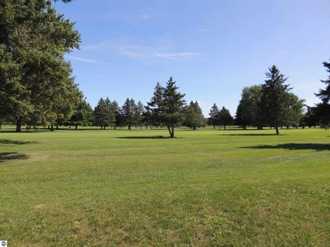 Tiny photo for 1009 Par Drive, Lake Isabella, MI 48893 (MLS # 1950549)