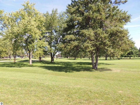 Tiny photo for 1009 Par Drive, Lake Isabella, MI 48893 (MLS # 1950549)