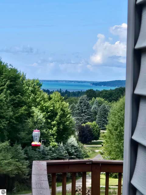 Tiny photo for 10746 Deal Road, Williamsburg, MI 49690 (MLS # 1949373)