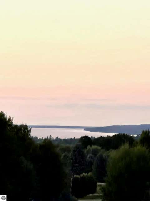 Tiny photo for 10746 Deal Road, Williamsburg, MI 49690 (MLS # 1949373)