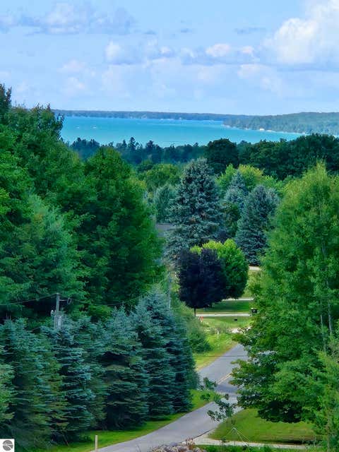Tiny photo for 10746 Deal Road, Williamsburg, MI 49690 (MLS # 1949373)