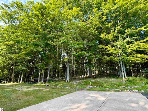 Tiny photo for 10746 Deal Road, Williamsburg, MI 49690 (MLS # 1949373)