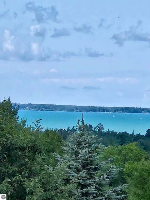Tiny photo for 10746 Deal Road, Williamsburg, MI 49690 (MLS # 1949373)