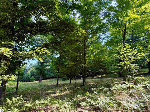 Tiny photo for 10746 Deal Road, Williamsburg, MI 49690 (MLS # 1949373)
