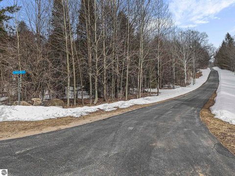 Tiny photo for 4077 E Yule Tree Lane, Lake Leelanau, MI 49653 (MLS # 1943494)