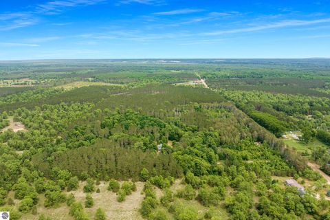 Tiny photo for 16514 Vondra RD, Thompsonville, MI 49683 (MLS # 1947393)