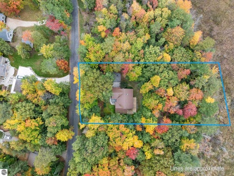 Tiny photo for 5763 MacKenzie Drive, Kewadin, MI 49648 (MLS # 1951718)