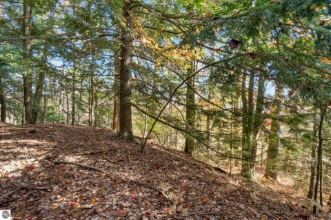 Tiny photo for 5763 MacKenzie Drive, Kewadin, MI 49648 (MLS # 1951718)