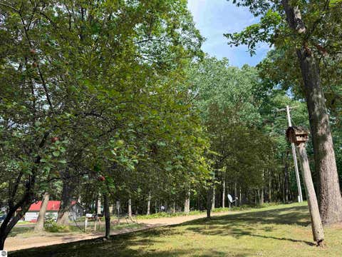 Tiny photo for 722 Bungo Lake Road, Harrison, MI 48625 (MLS # 1949420)