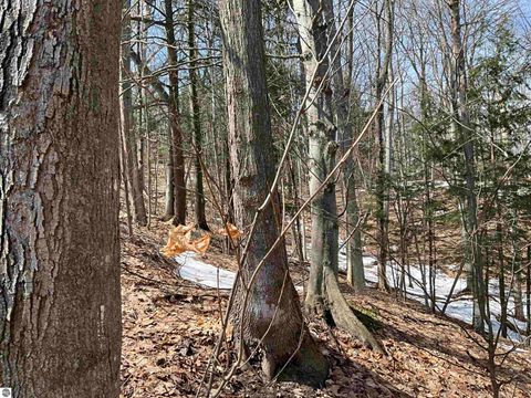 Tiny photo for 10057 E Leeward Shores Drive, Traverse City, MI 49684 (MLS # 1942476)