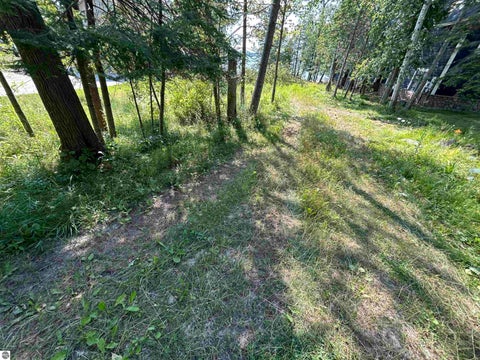 Tiny photo for 520 Wak Wing Drive, Central Lake, MI 49622 (MLS # 1948941)