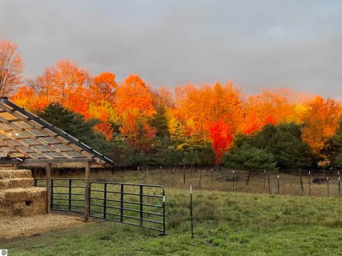 Tiny photo for 8530 Homestead Road, Benzonia, MI 49616 (MLS # 1941743)