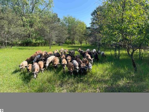 Tiny photo for 8530 Homestead Road, Benzonia, MI 49616 (MLS # 1941743)