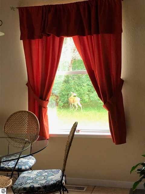 Tiny photo for 8530 Homestead Road, Benzonia, MI 49616 (MLS # 1941743)