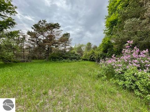 Tiny photo for 8530 Homestead Road, Benzonia, MI 49616 (MLS # 1941743)