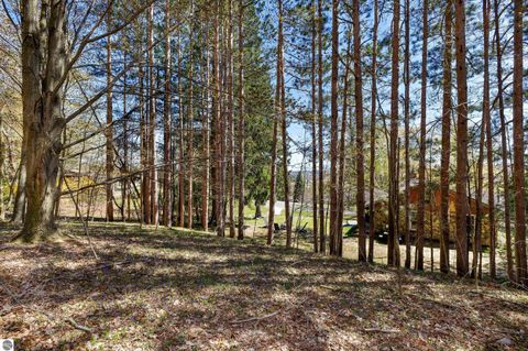 Tiny photo for 925 Beech Street, Frankfort, MI 49635 (MLS # 1945089)