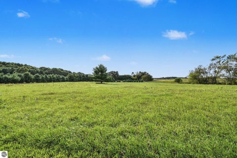 Tiny photo for 691 N Duffield Road, Sumner, MI 48889 (MLS # 1951025)