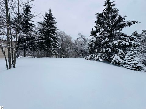 Tiny photo for 5651 N Seeley Road, Manton, MI 49663 (MLS # 1943076)