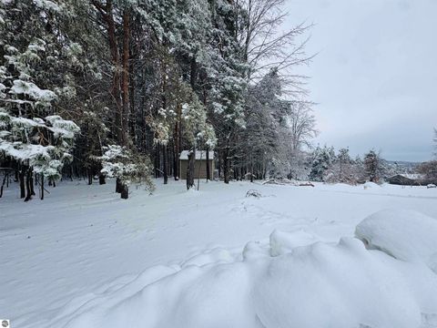 Tiny photo for 5651 N Seeley Road, Manton, MI 49663 (MLS # 1943076)