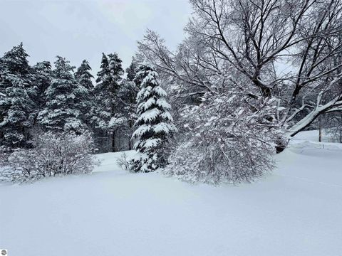 Tiny photo for 5651 N Seeley Road, Manton, MI 49663 (MLS # 1943076)